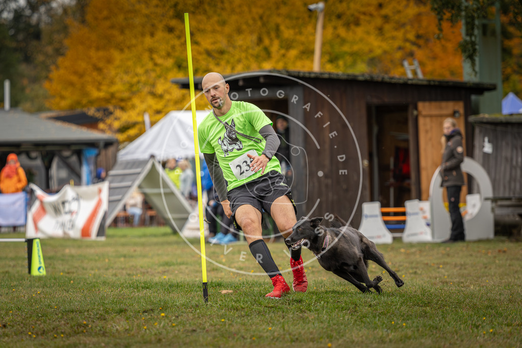 Pfotenfotografie_DV3A4888 | Hundefotografie, Tierfotograf, Pfotenfotografie, Fotoshooting Hund, Hunde Portrait, Hundesport, Hundeportraits, Heideshooting, Hunde, Sportfotograf, Hundefotograf, Turnierhundsport, THS,  - Realisiert mit Pictrs.com