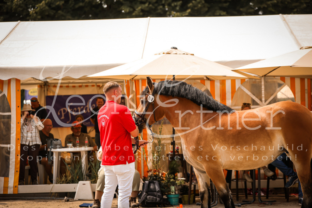 3.Sa00021 | Leoni Ertmer Photography - Realisiert mit Pictrs.com