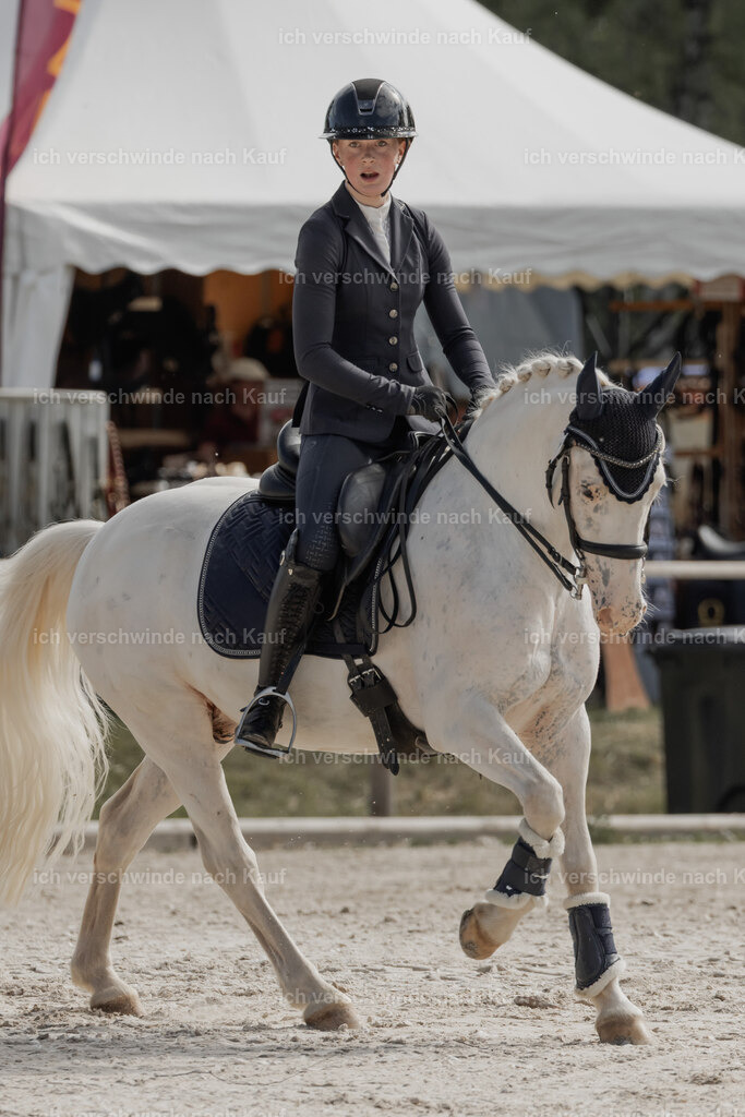 WE_ST_Stoib_341_PI2025_903 | Pferd International München 2025