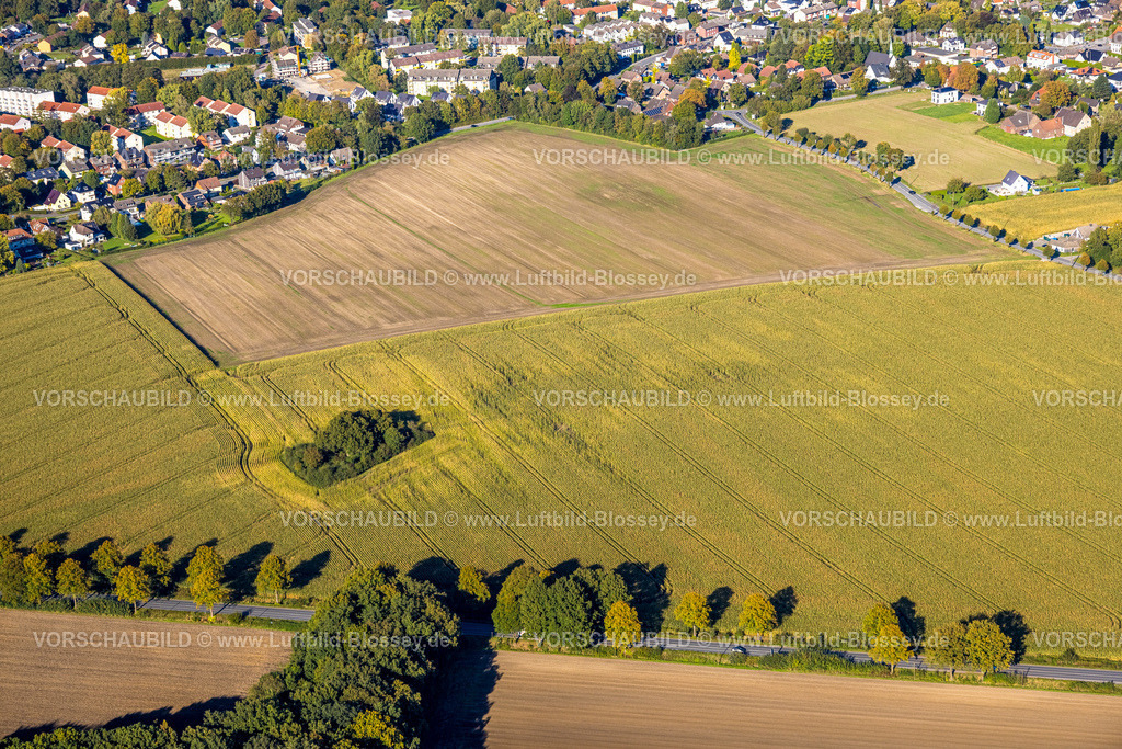 Bergkamen241006469Maiwald | Luftbild, dreieckige Baumgruppe auf einem Feld an der Lünener Straße, Acker, Feld, Baumgruppe, Landwirtschaft, Weddinghofen, Bergkamen, Ruhrgebiet, Nordrhein-Westfalen, Deutschland