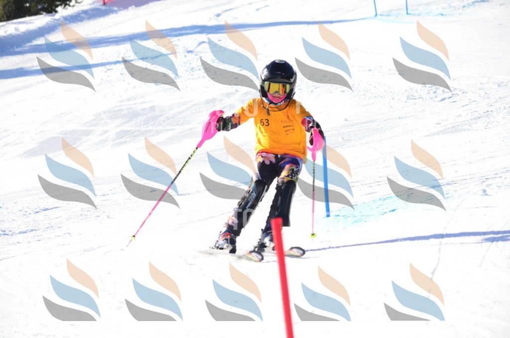 C5814 | holidayphoto