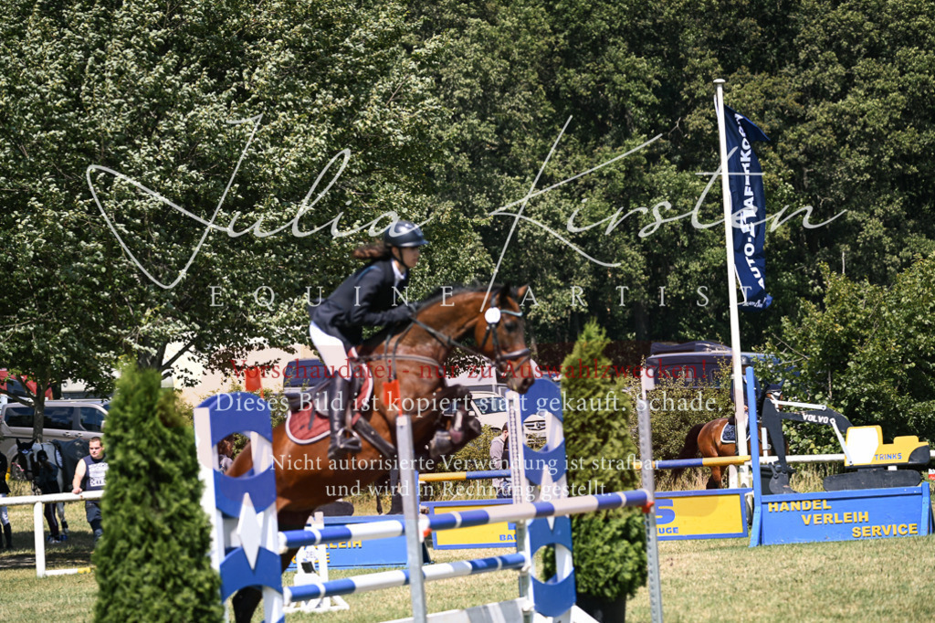 DSC_0098 | Pferde- und Turnierfotografie in Westsachsen. Pferdeportraits, Auftragszeichnungen und intuitive Kunst.