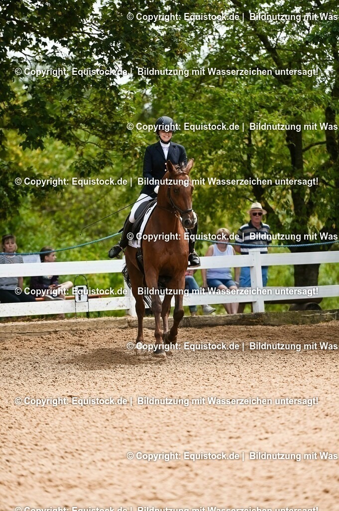 20230716_03_Dressurprfg. Kl.L - Tr._0397 | equistock