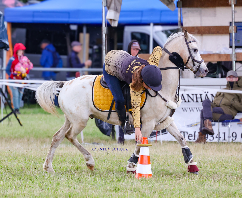 1B3A0409 | Reitsport Reiten
