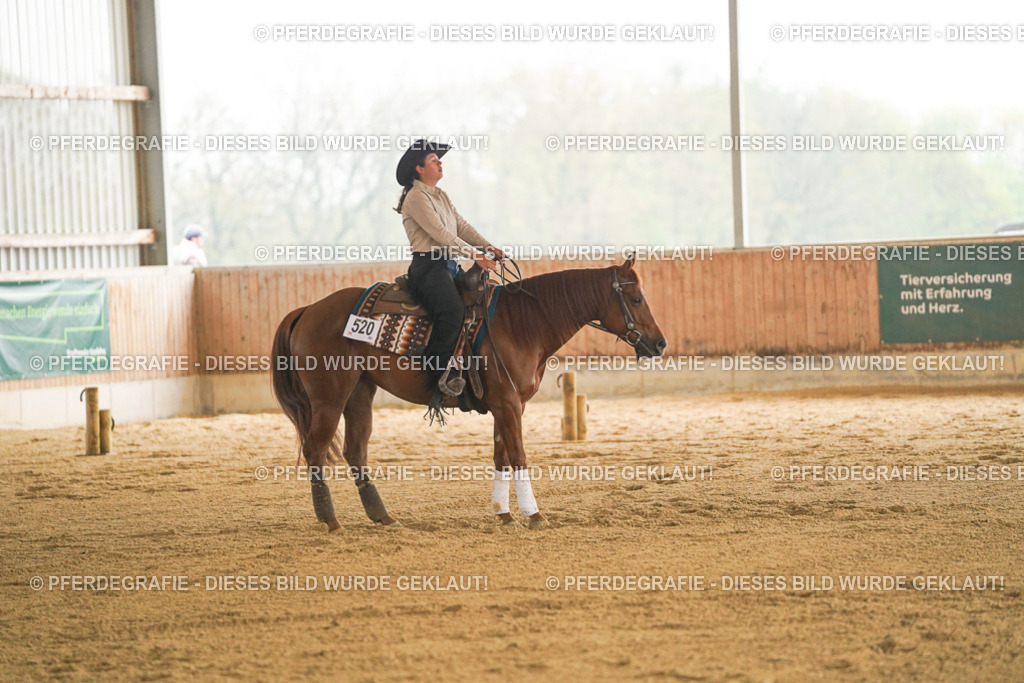 DSC00084 | Pferdegrafie