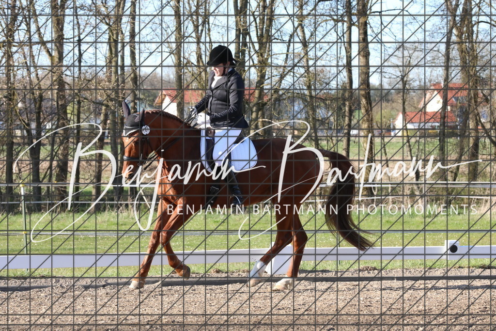 AZ2A5451 | Benjamin Bartmann Photomoments