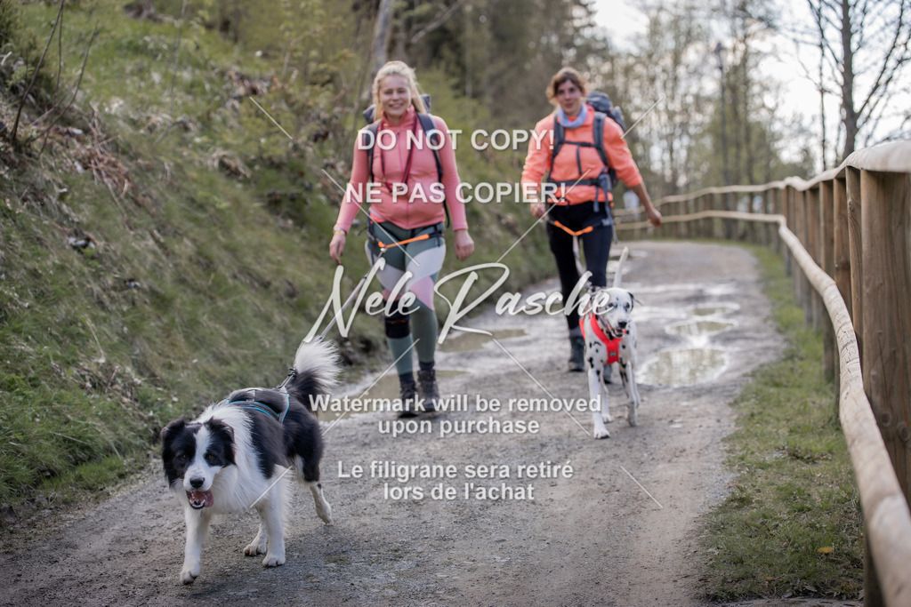 NR__0792 | nelerasche