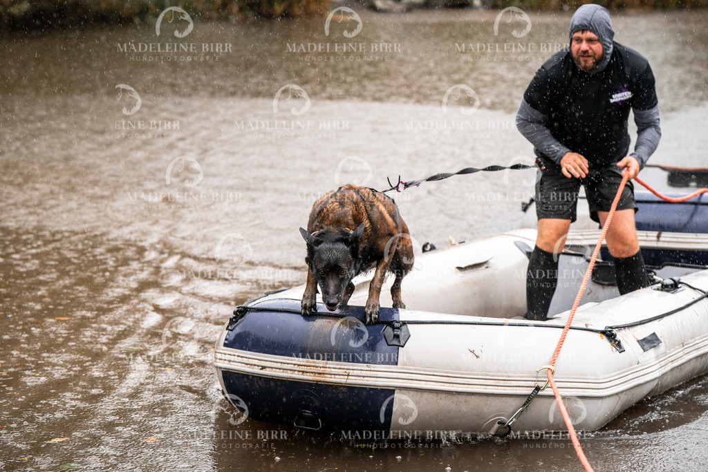 madeleinebirr-fotografie2025.campcanis.11-12Uhr-403 | hundefotografie-birr