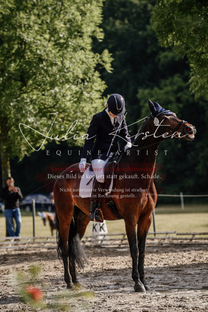 DSC_8820 | Pferde- und Turnierfotografie in Westsachsen. Pferdeportraits, Auftragszeichnungen und intuitive Kunst.