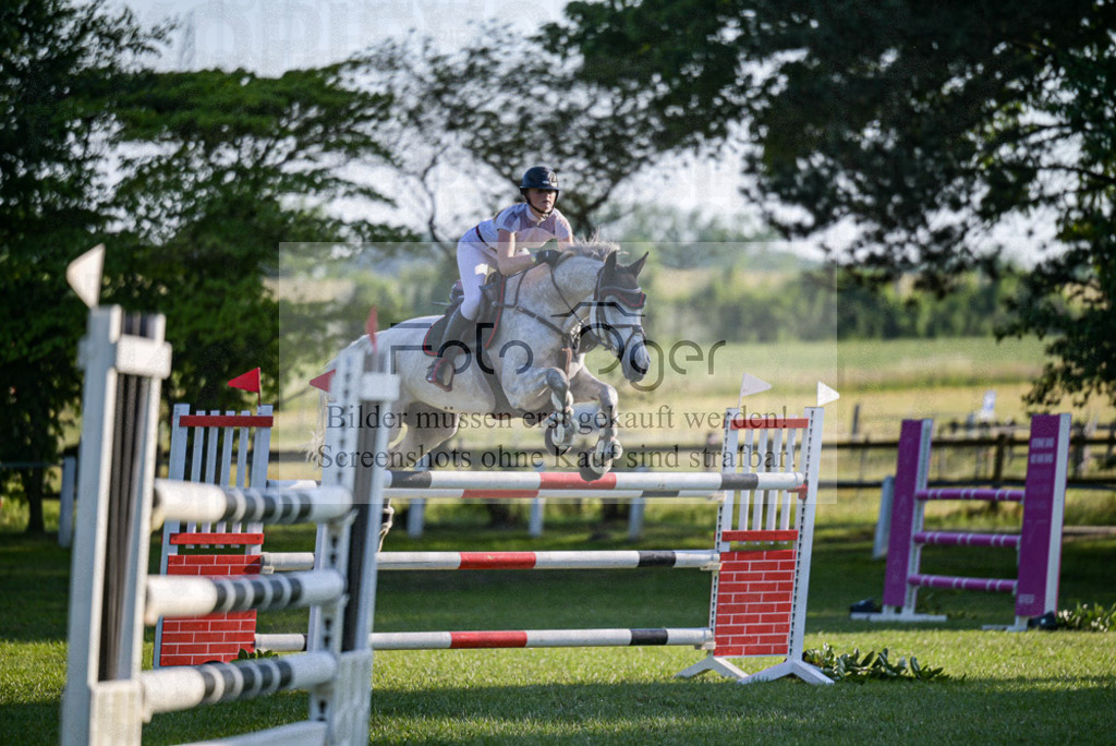 Reitturnier Voxtrup | Entdecke hochwertige Reitturnierfotos von Foto Oger. Professionell, emotional und authentisch – jetzt Lieblingsmomente im Shop bestellen.Deutschlandweite Turnierfotografie. - Realisiert mit Pictrs.com