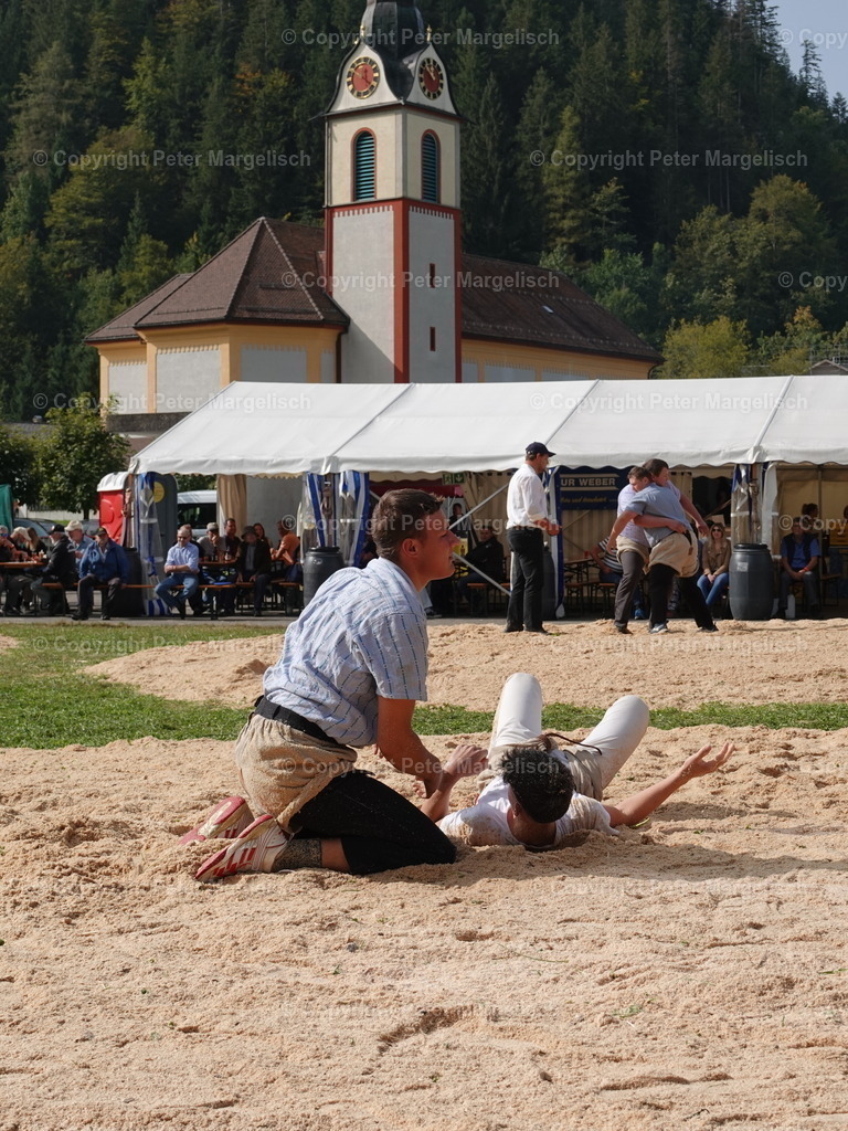 DSC05728 | Schwingen - Realisiert mit Pictrs.com