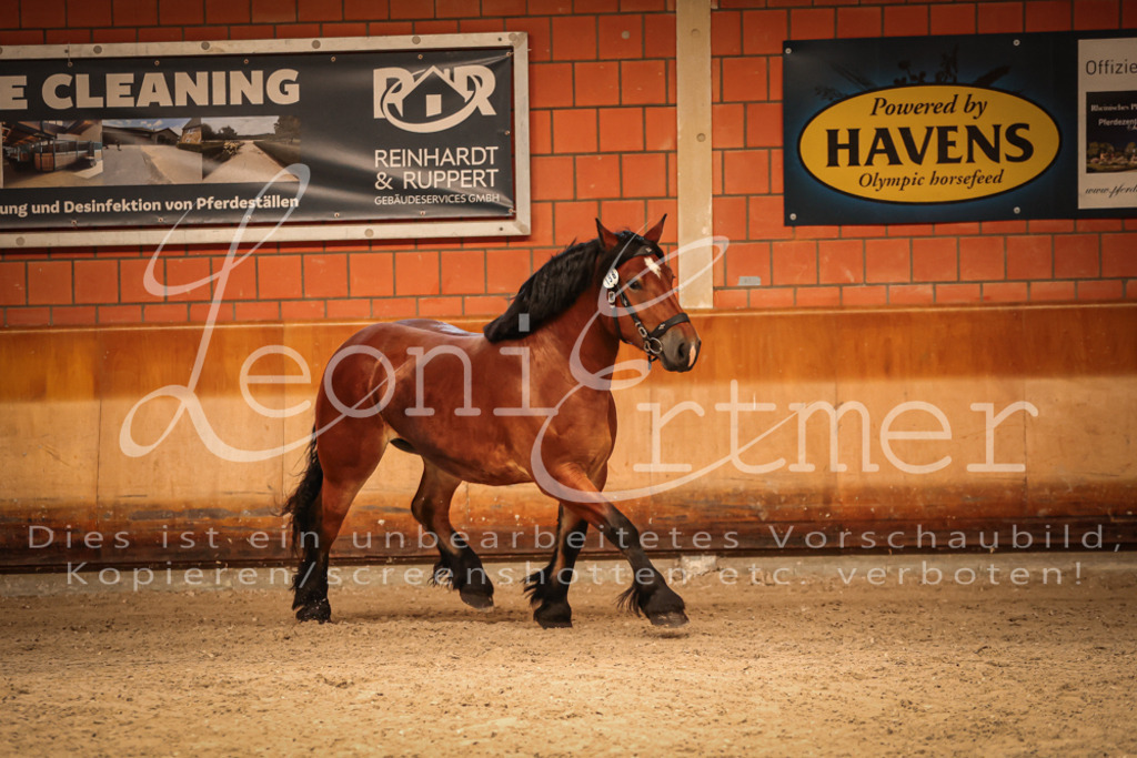 SaFL00146 | Leoni Ertmer Photography - Realisiert mit Pictrs.com