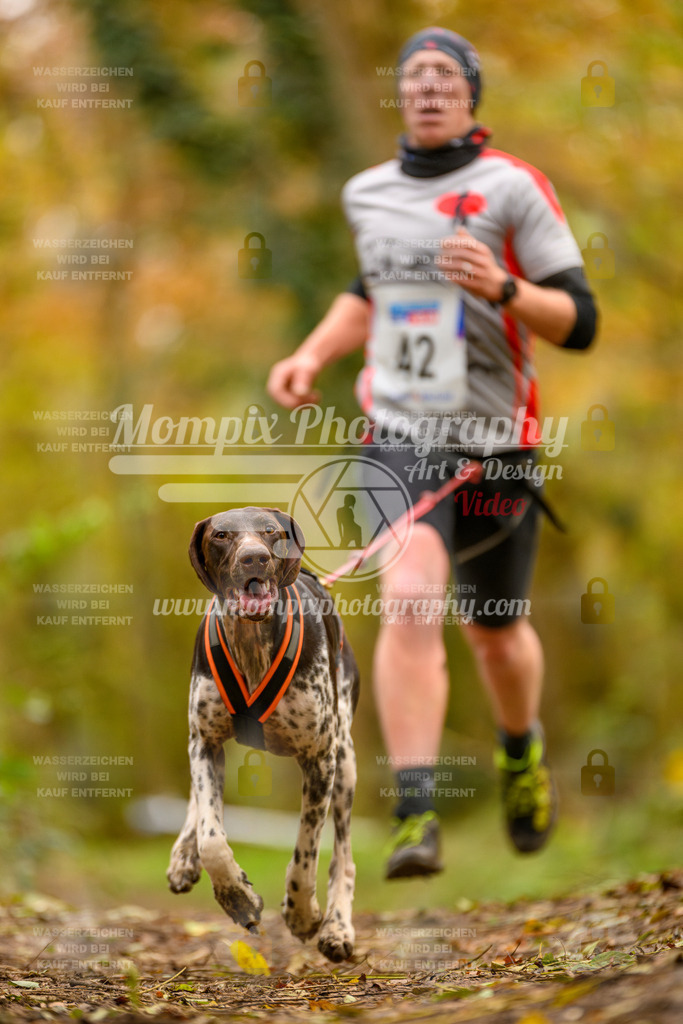 MompixPhotography_Bischwiller24_SA_Canicross-32 | mompixphotography