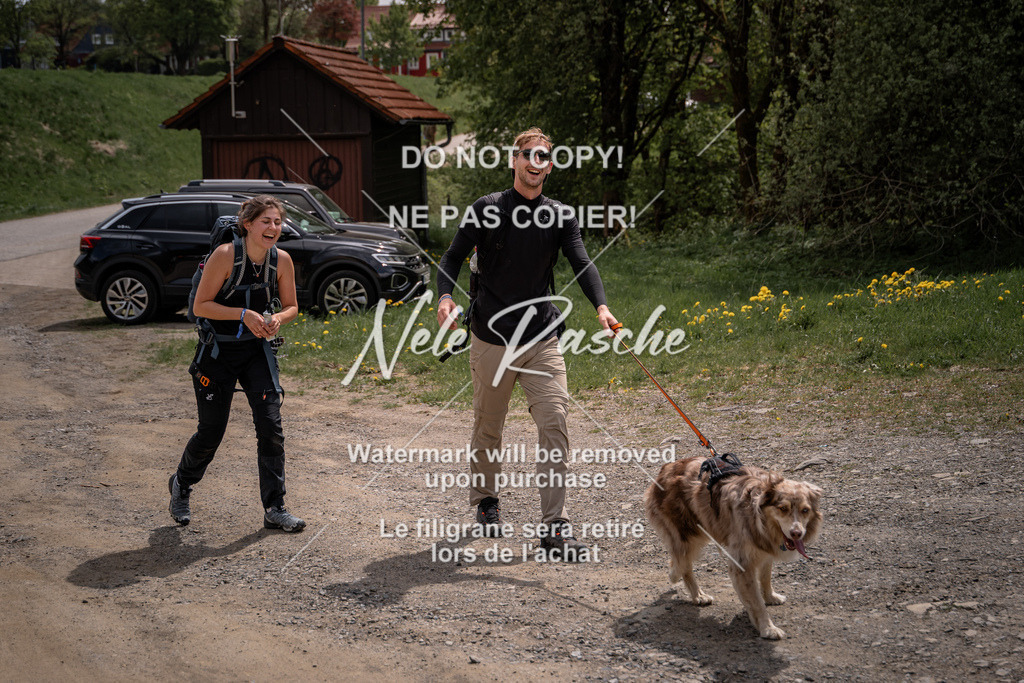 nelerasche_TheGame2026_SoZieleinlauf_263 | nelerasche