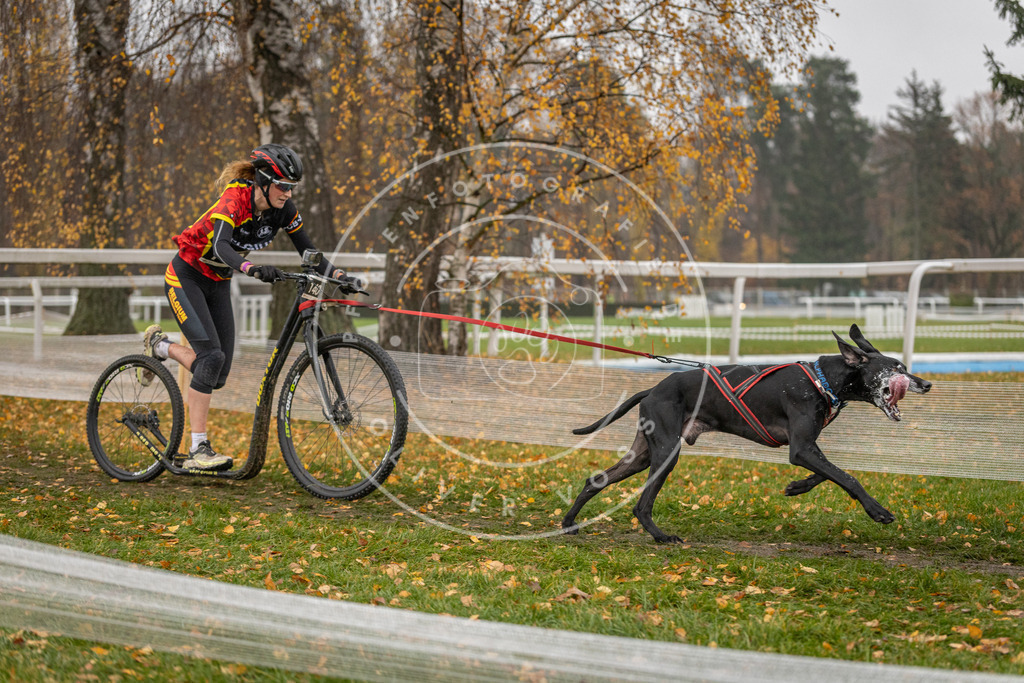 CaniXpix_DV3A8114 | Hundefotografie, Tierfotograf, Pfotenfotografie, Fotoshooting Hund, Hunde Portrait, Hundesport, Hundeportraits, Heideshooting, Hunde, Sportfotograf, Hundefotograf, Turnierhundsport, THS,  - Realisiert mit Pictrs.com