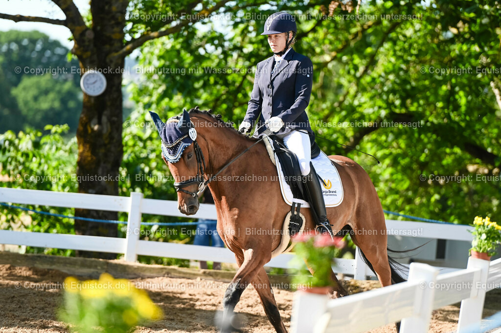 20230715_06_Dressurpferdeprfg. Kl.A_0200 | equistock