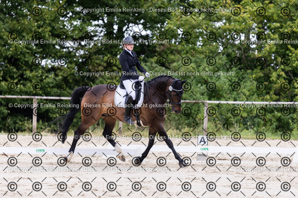 CL5A1996 | Emilia Reinking Fotografie - Realisiert mit Pictrs.com