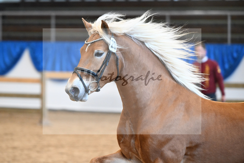 Kat-Nr. 29 nn v. Nio_Carreno-Erdmann_48250654 | hf-fotografie - Realisiert mit Pictrs.com