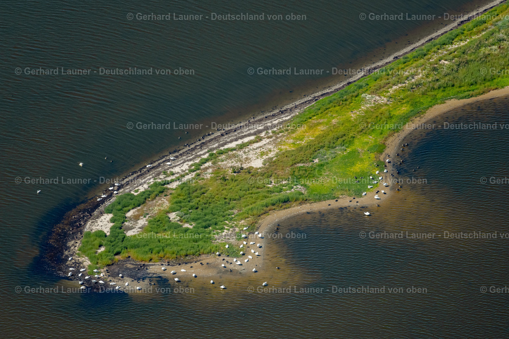 4037608 | Naturschutzgebiet Geltinger Birk