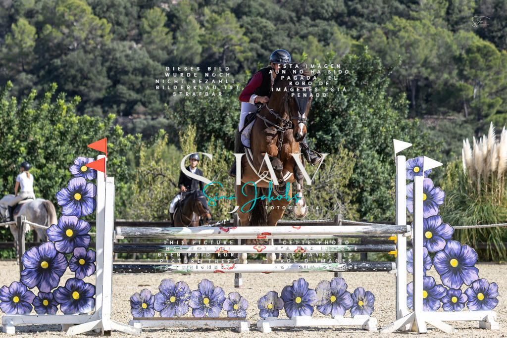 IMG_0340 | s-jay-photography - Realisiert mit Pictrs.com