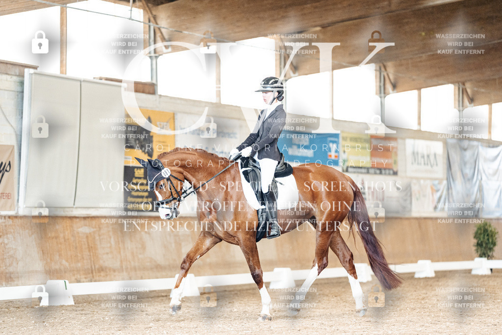 CK901275 | Turnierfotografie Pferdefotografie Trier Rheinland-Pfalz Pferdesport Reitsport Tierfotografie Sportfotografie Pferdevideo Pferdevideografie Equestrianvideography equestrianphotography  - Realisiert mit Pictrs.com