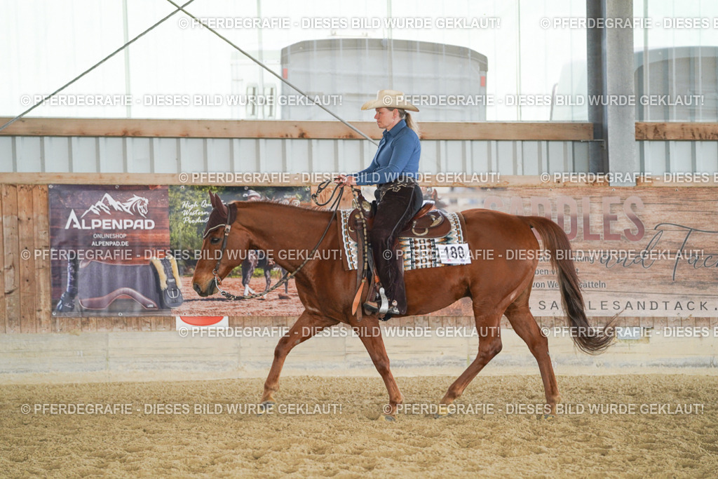 DSC01662 | Pferdegrafie