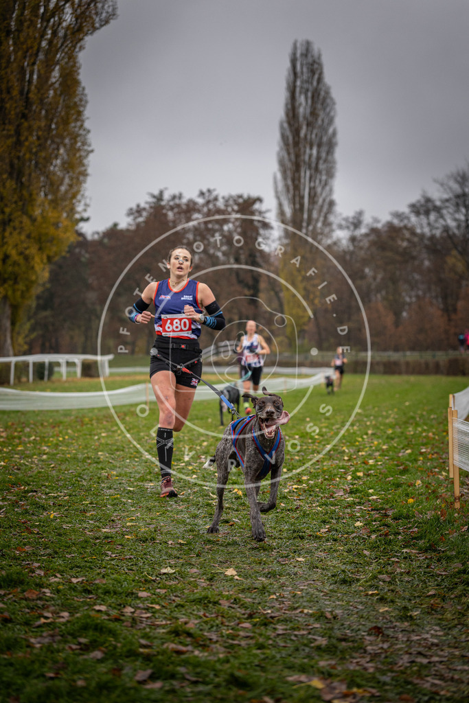 CaniXpix_DV3A9059 | Hundefotografie, Tierfotograf, Pfotenfotografie, Fotoshooting Hund, Hunde Portrait, Hundesport, Hundeportraits, Heideshooting, Hunde, Sportfotograf, Hundefotograf, Turnierhundsport, THS,  - Realisiert mit Pictrs.com