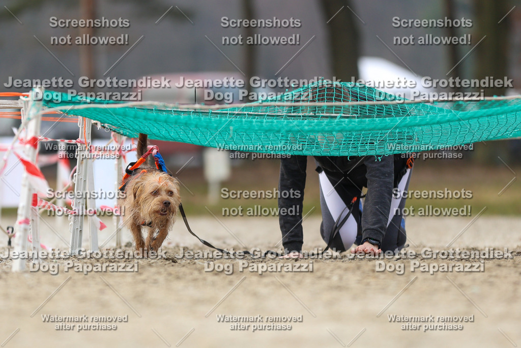 Dog Paparazzi - Strongdog North Mrz26-4460-2 | Dog Paparazzi Jeanette Grottendiek Fotografie & Videografie - Realisiert mit Pictrs.com