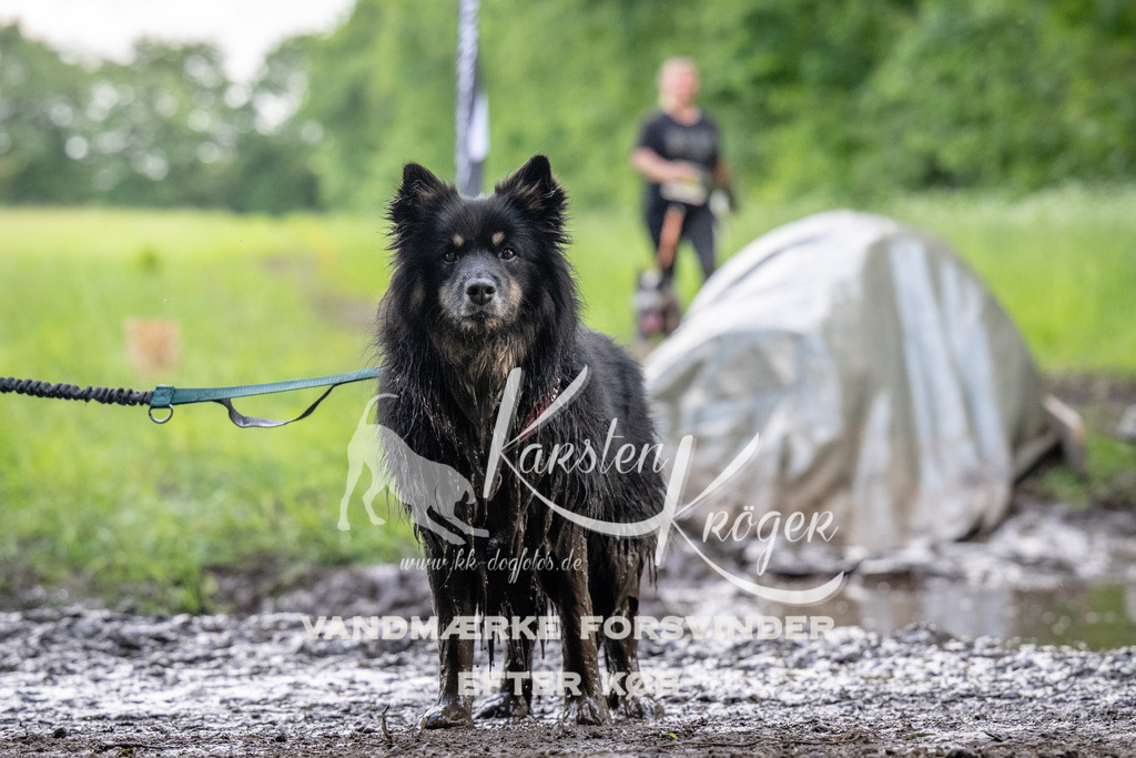 1332_ZZ91450 | kk-dogfotos