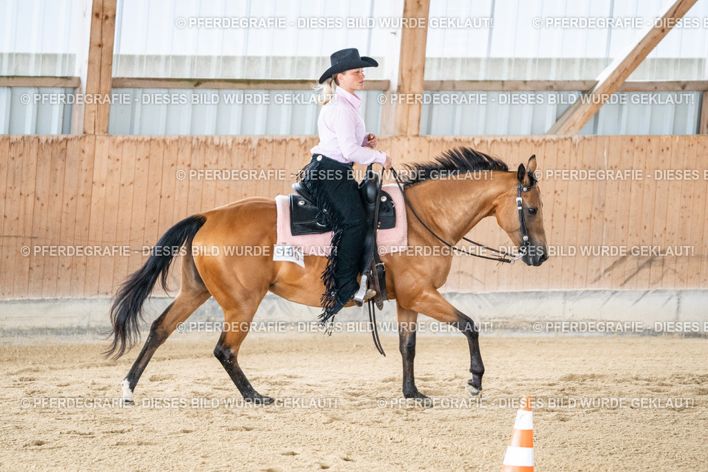 DSC02179 | Pferdegrafie