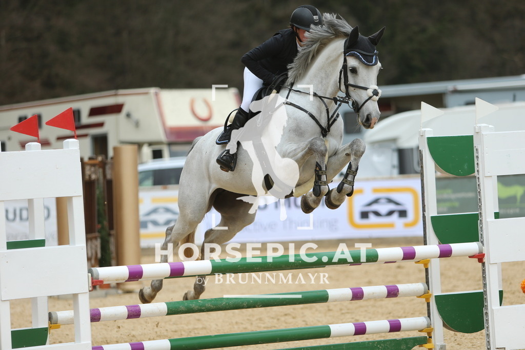 DL2Q6192 | Willkommen bei Brunnmayr - Design & Fotografie – Ihrem Spezialisten für Reitturniere und Pferdeveranstaltungen in Oberösterreich, Salzburg und Bayern! Seit über 17 Jahren sind wir leidenschaftlich dabei.