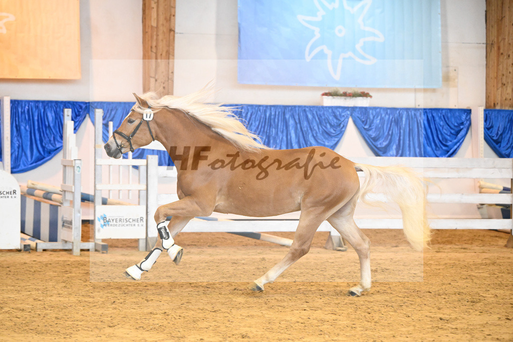 Kat-Nr. 17 nn v. Steingold_Stange_60220265 | hf-fotografie - Realisiert mit Pictrs.com