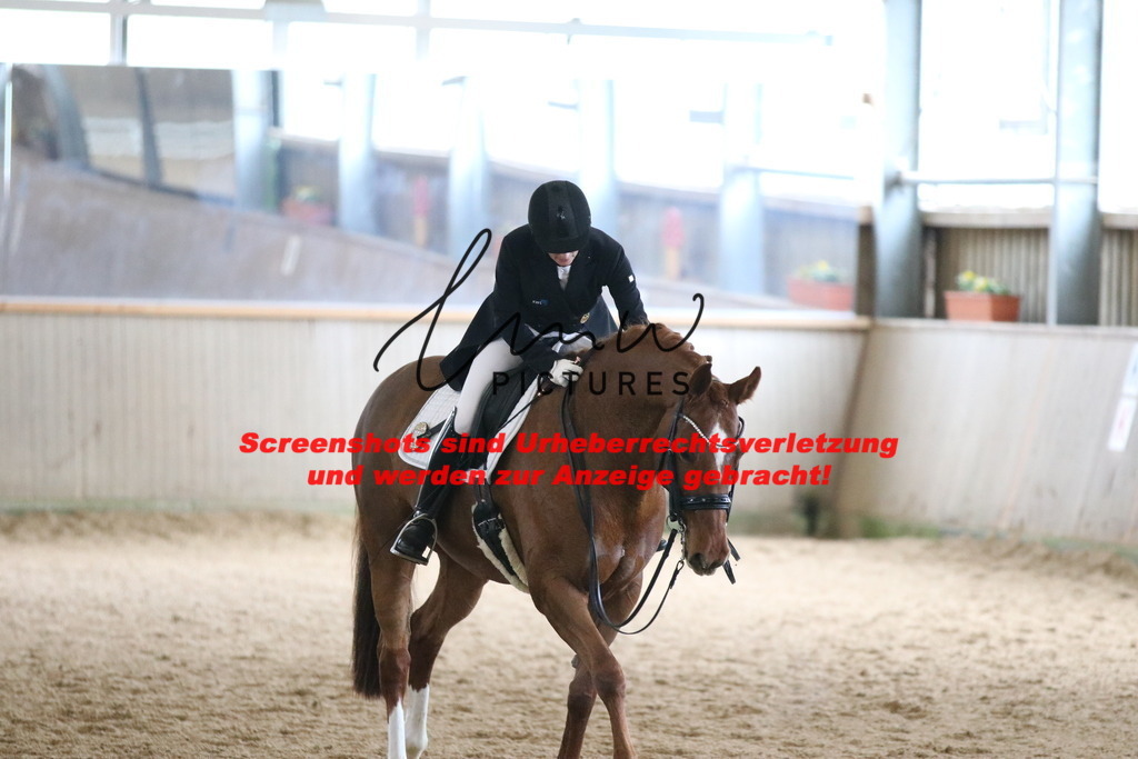 IMG_1296 | lmwpictures - Realisiert mit Pictrs.com