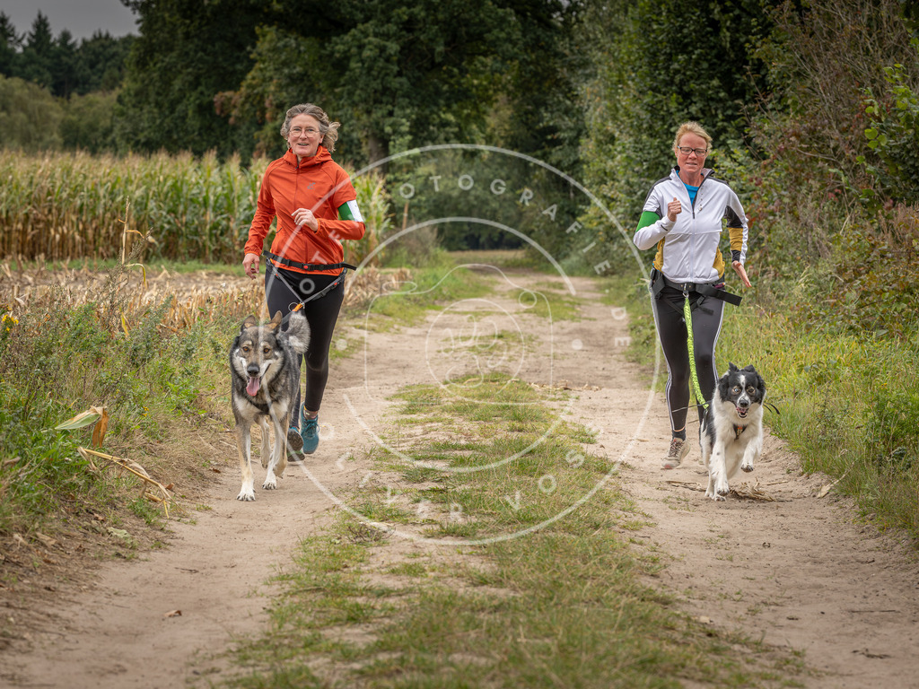 Pfotenfotografie_DV3A6845 | Hundefotografie, Tierfotograf, Pfotenfotografie, Fotoshooting Hund, Hunde Portrait, Hundesport, Hundeportraits, Heideshooting, Hunde, Sportfotograf, Hundefotograf, Turnierhundsport, THS,  - Realisiert mit Pictrs.com