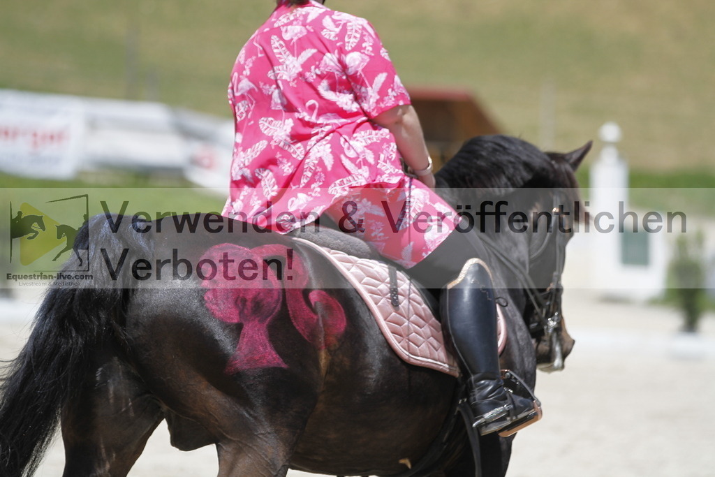_MG_7515 | equestrian-live-com