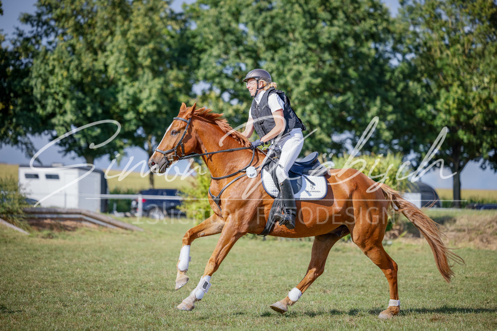 20250905-_3LI1525 | Tierfotografie Pferde, Hunde, Katzen, Haustiere.
Turnierfotografie Reitturniere, Reiten, Springreiten, Dressur in Hanau, dem Main-Kinzig-Kreis und dem Rhein-Main- Gebiet um Frankfurt