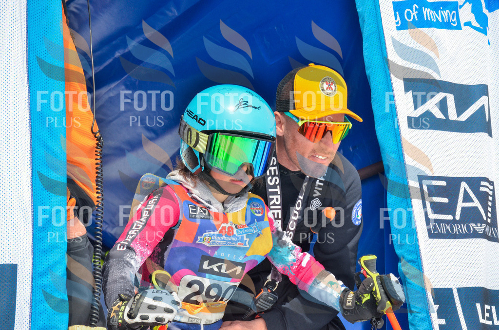 _ELE8085 | holidayphoto