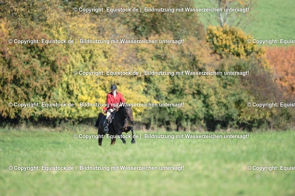20251011_Jagd-Marbach_0403 | Foto: Thomas Hartig