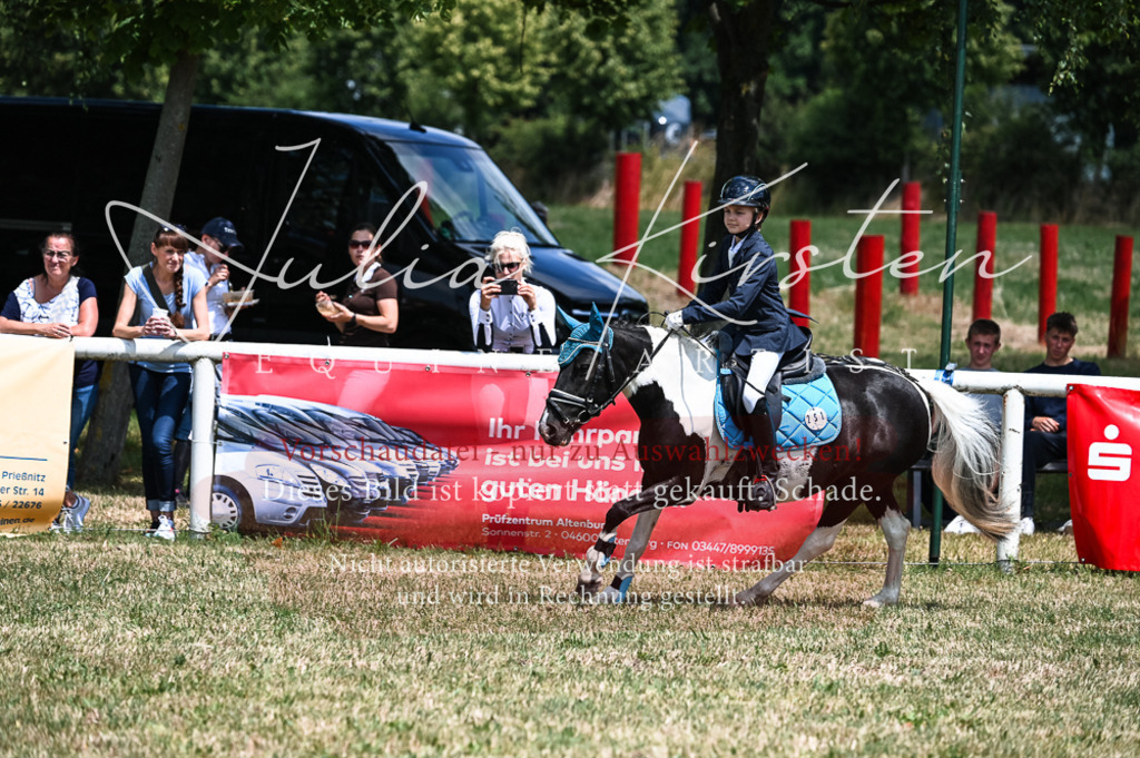 DSC_9737 | Pferde- und Turnierfotografie in Westsachsen. Pferdeportraits, Auftragszeichnungen und intuitive Kunst.
