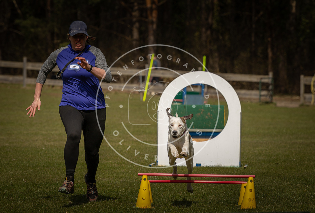 Pfotenfotografie_DV3A5570 | Hundefotografie, Tierfotograf, Pfotenfotografie, Fotoshooting Hund, Hunde Portrait, Hundesport, Hundeportraits, Heideshooting, Hunde, Sportfotograf, Hundefotograf, Turnierhundsport, THS,  - Realisiert mit Pictrs.com