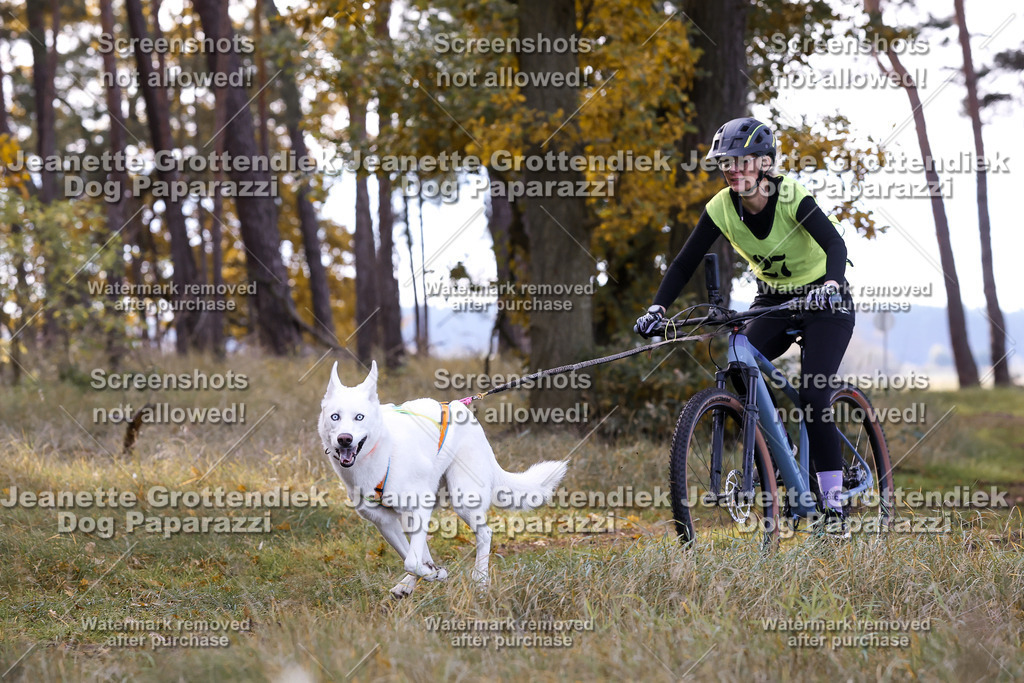 Dog Paparazzi - Elsholz 25 -122 | Dog Paparazzi Jeanette Grottendiek Fotografie & Videografie - Realisiert mit Pictrs.com