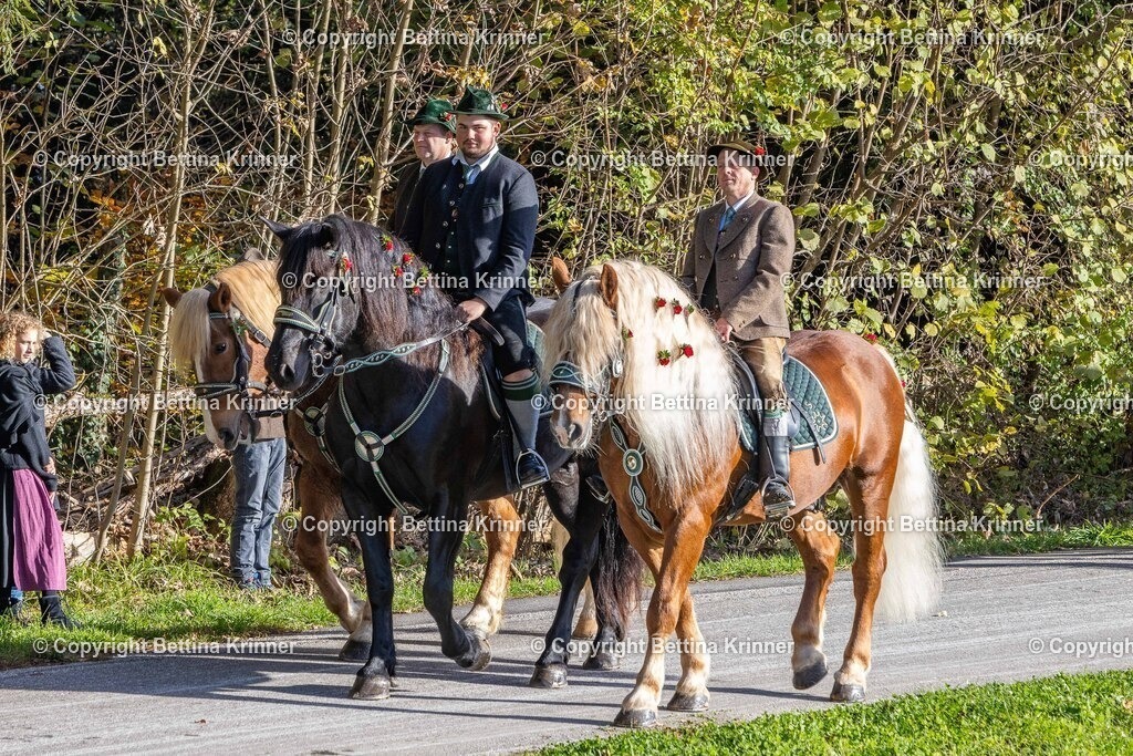 LBT24-239 | foto-bettina-krinner - Realisiert mit Pictrs.com