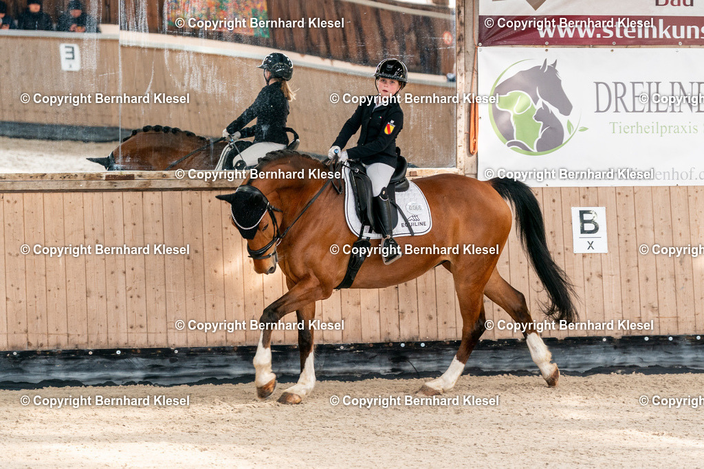 2A909985 | foto-team-bernhard - Realisiert mit Pictrs.com