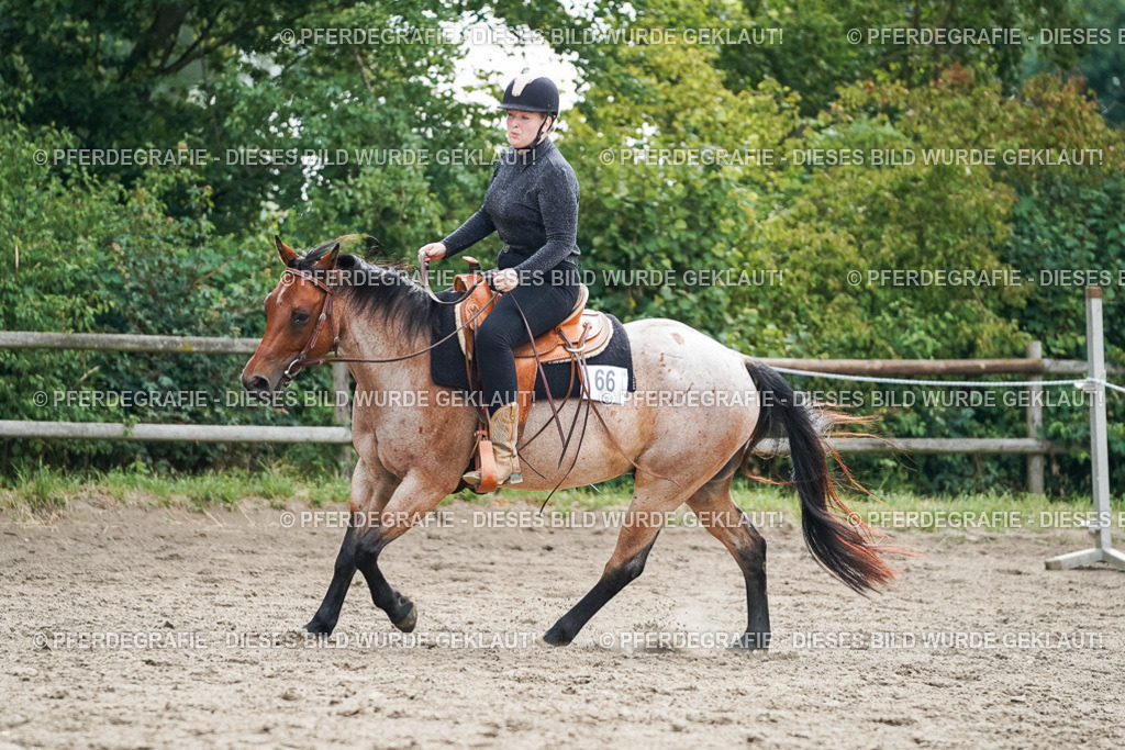 DSC04519 | Pferdegrafie