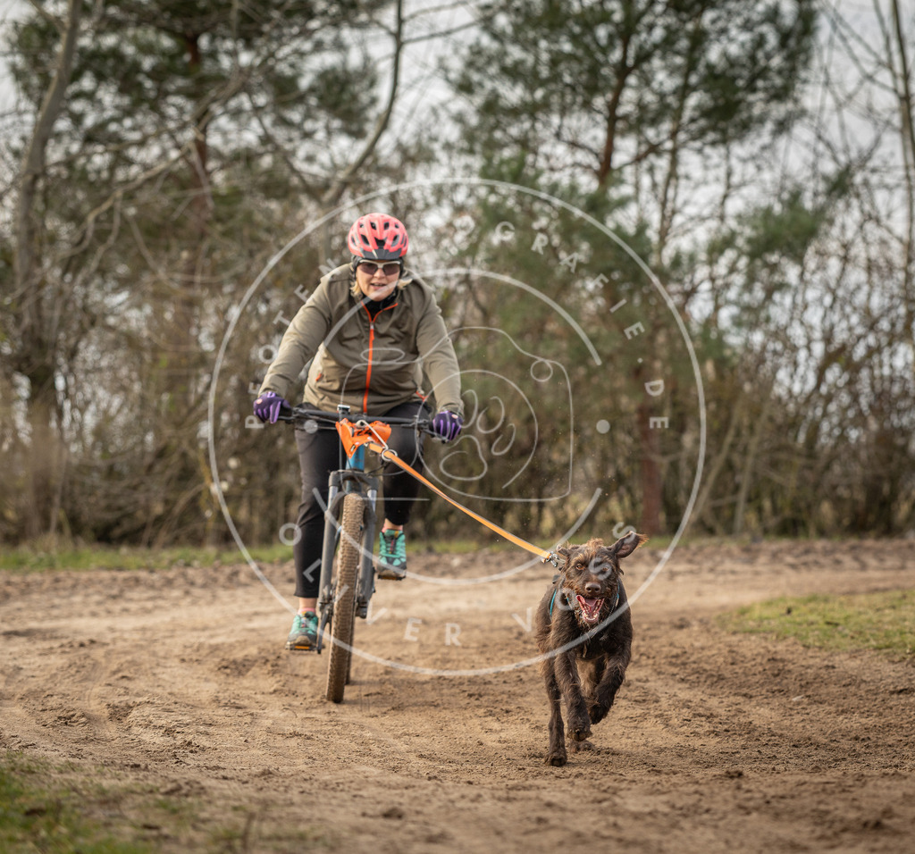 Pfotenfotografie_DV3A8993 | Hundefotografie, Tierfotograf, Pfotenfotografie, Fotoshooting Hund, Hunde Portrait, Hundesport, Hundeportraits, Heideshooting, Hunde, Sportfotograf, Hundefotograf, Turnierhundsport, THS,  - Realisiert mit Pictrs.com