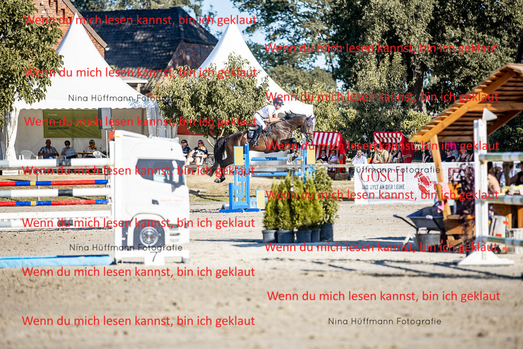 BK1A8272 | Turnierbilder Turnierfotos Nina Hüffmann Turnierfotografie Pferdefotografie Tierzeichnung Haustierzeichnung Pferdezeichnung Hundezeichnung Videograf  - Realisiert mit Pictrs.com