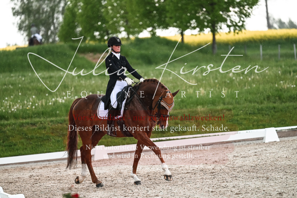 20230514_JK-Röhrsdorf-21-581 | Pferde- und Turnierfotografie in Westsachsen. Pferdeportraits, Auftragszeichnungen und intuitive Kunst.