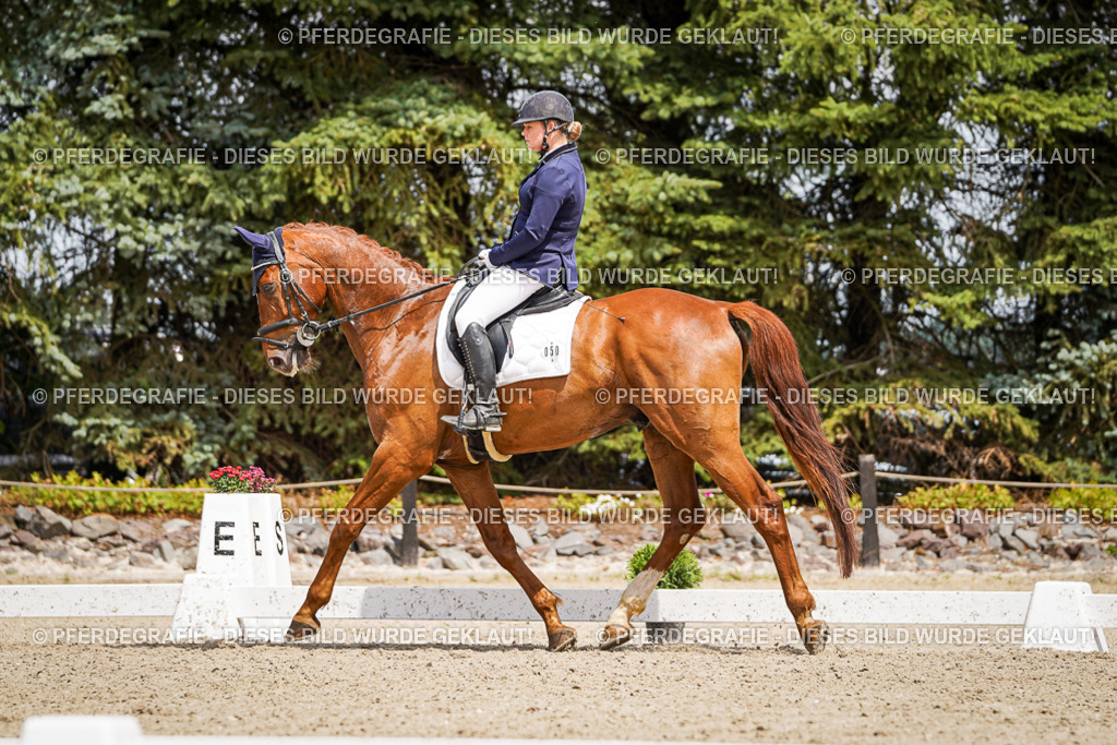 DSC02347 | Pferdegrafie