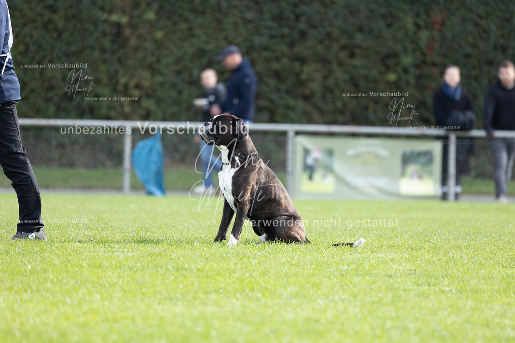 _16A6642 | Einzigartige Fotos von Hunden & Menschen –Actionfotos, Portraits, Vereinsaufnahmen & Paarshootings – authentisch, lebendig & mit Herz.