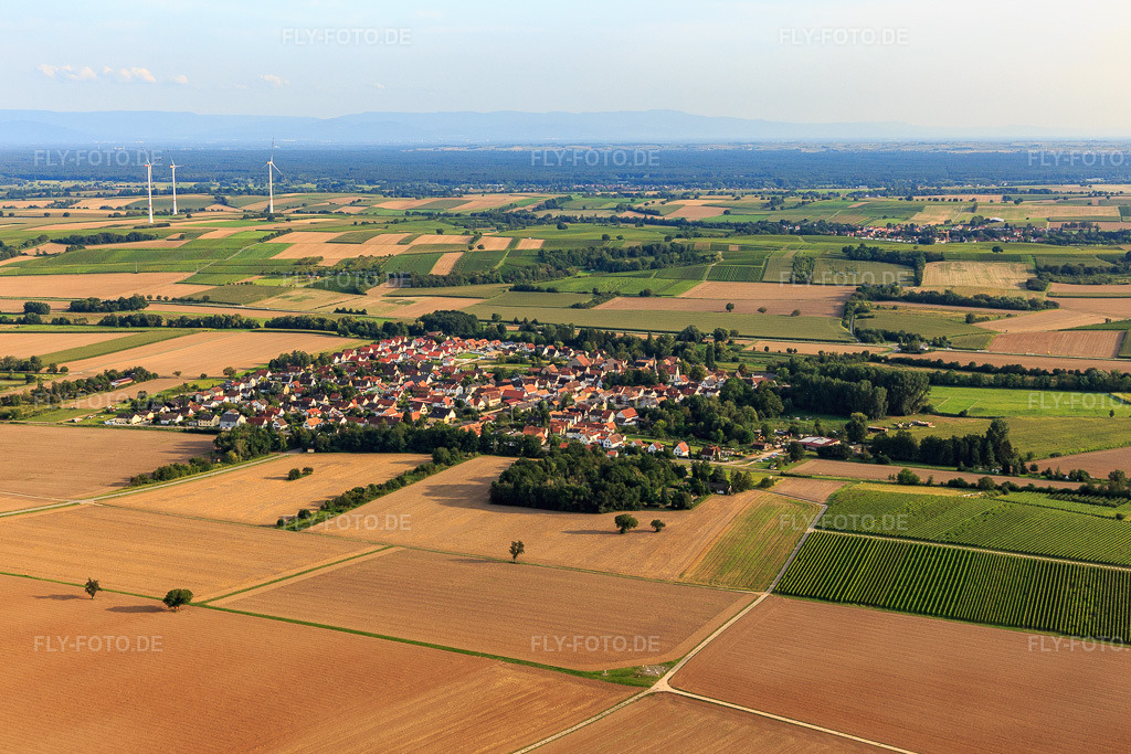 Luftbild: Ortsansicht von Nordwesten in Barbelroth im Bundesland Rheinland-Pfalz in Deutschland. Foto: IMG_128413.jpg vom 21.08.2021 durch Werner Riehm/FLY-FOTO.de